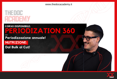 2 PERIODIZATION 360